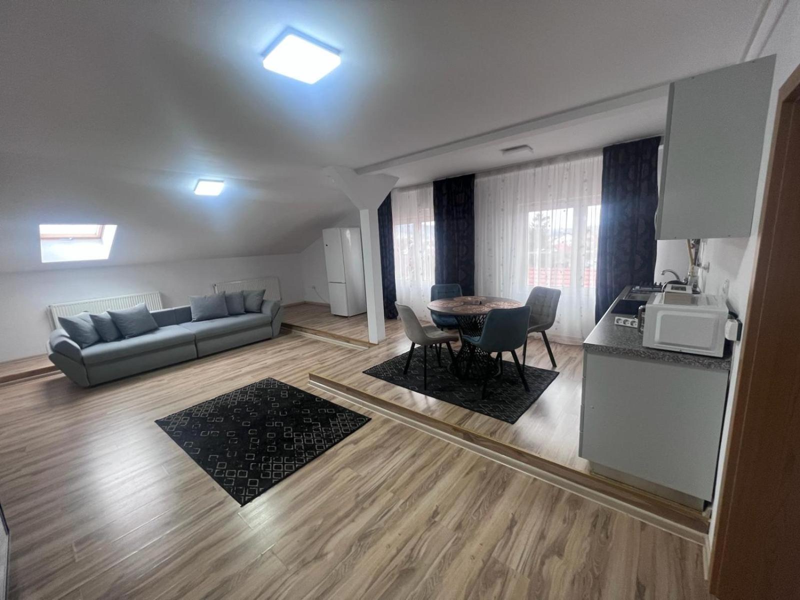 Helix Apartaments シビウ エクステリア 写真